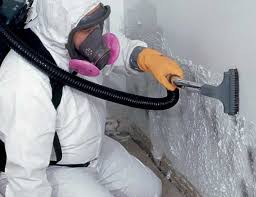 Best Residential Mold Inspection & Testing in Redstone Arsen, AL